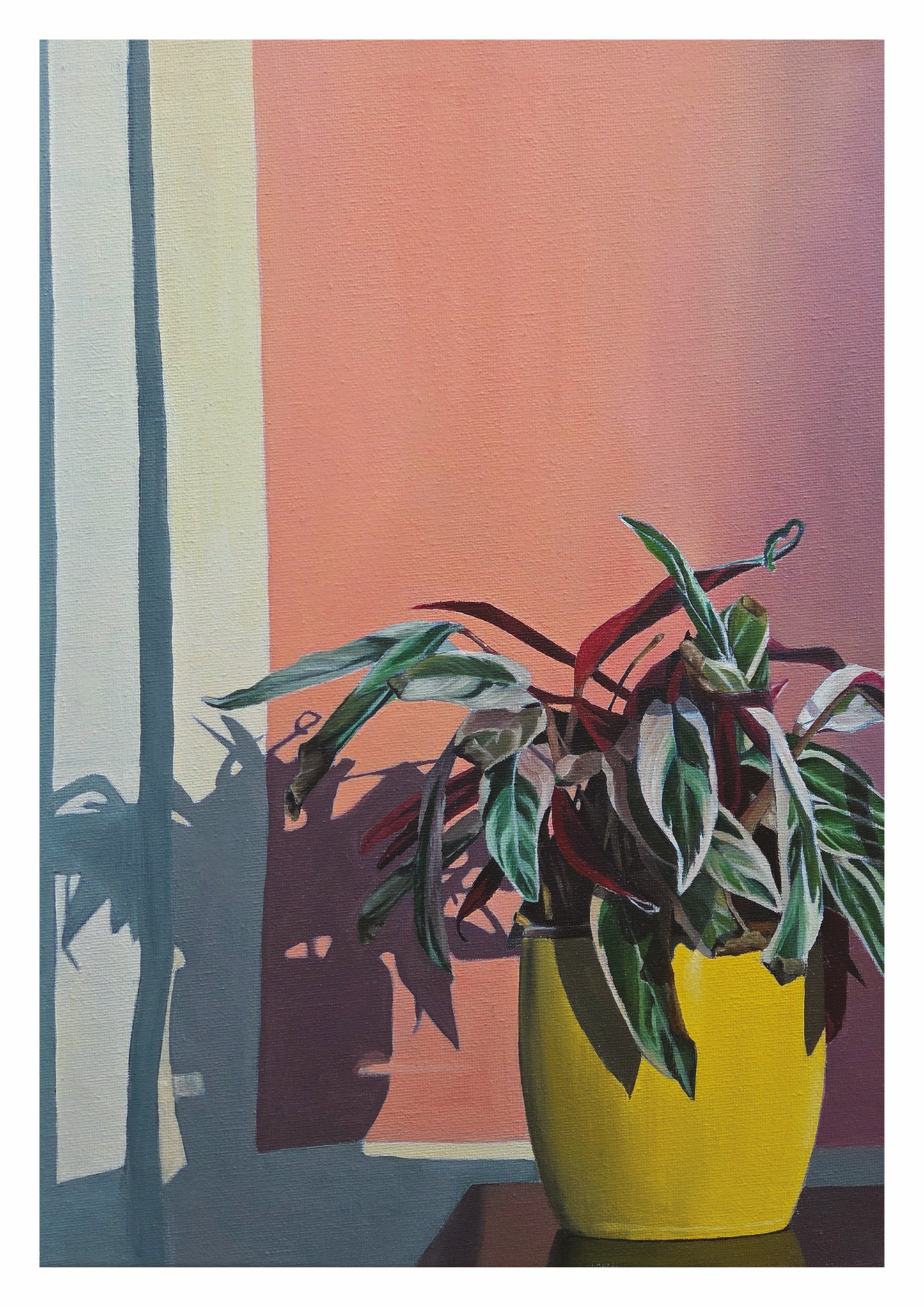 'Winter Light' Still Life Limited Edition Fine Art Print