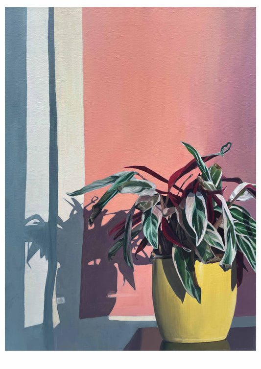Winter Light Still Life Limited Edition Fine Art Print