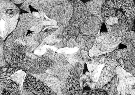 Foxes Limited Edition Fine Art Print